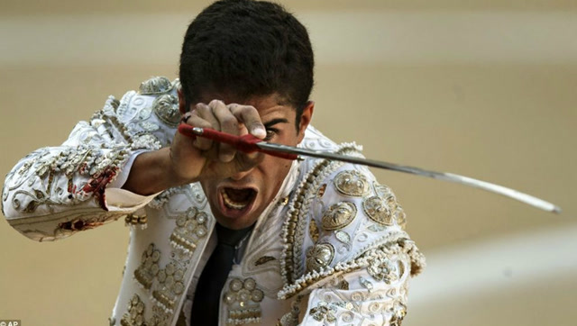  TheShy迎来五赛季出色发挥，篮网观众热烈欢呼！赢得满堂喝彩-开云官网APP